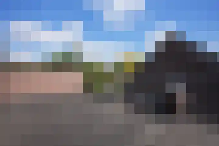 Warande 4 Schin op Geul thumbnail 40