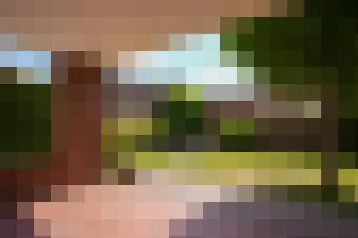 Warande 4 Schin op Geul thumbnail 42