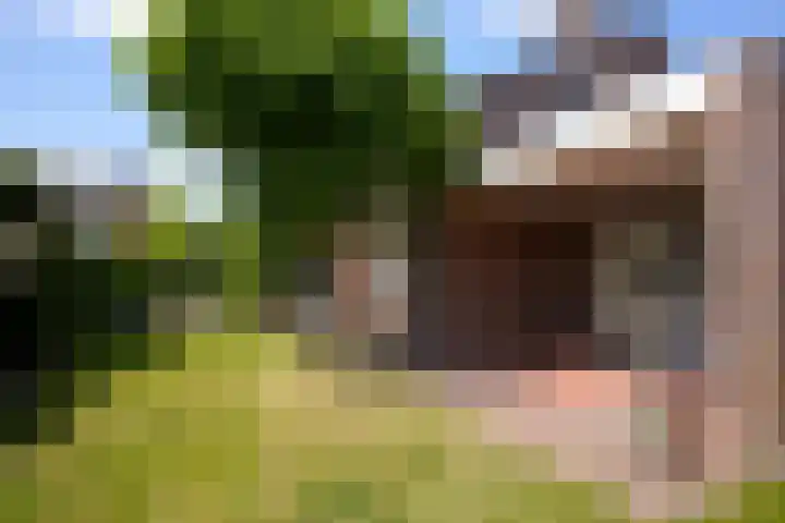 Warande 4 Schin op Geul thumbnail 44