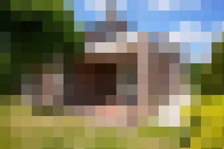 Warande 4 Schin op Geul thumbnail 45