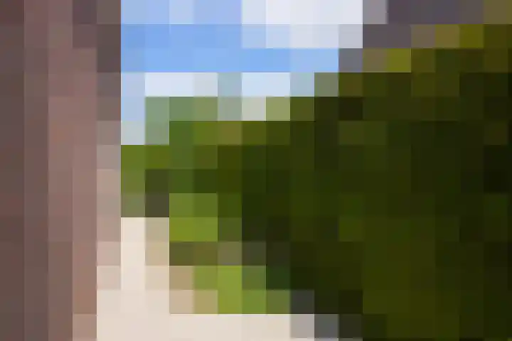 Warande 4 Schin op Geul thumbnail 46