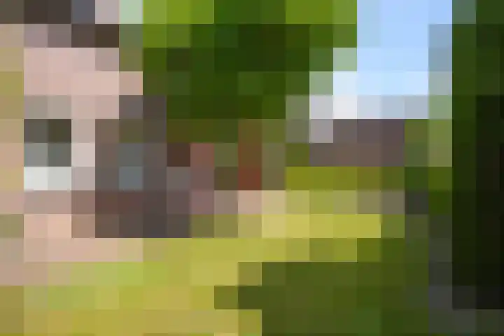 Warande 4 Schin op Geul thumbnail 48