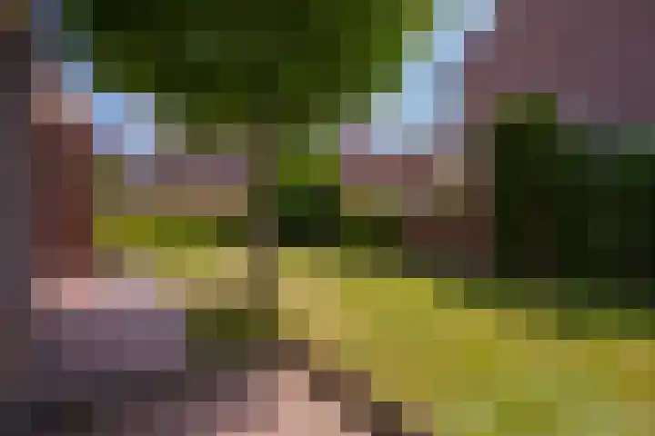 Warande 4 Schin op Geul thumbnail 49