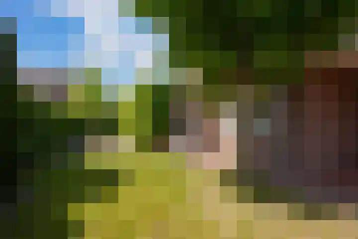 Warande 4 Schin op Geul thumbnail 50