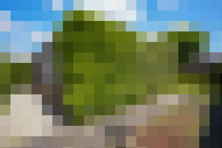 Warande 4 Schin op Geul thumbnail 51