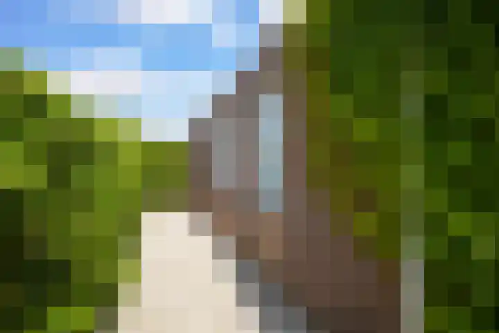 Warande 4 Schin op Geul thumbnail 52