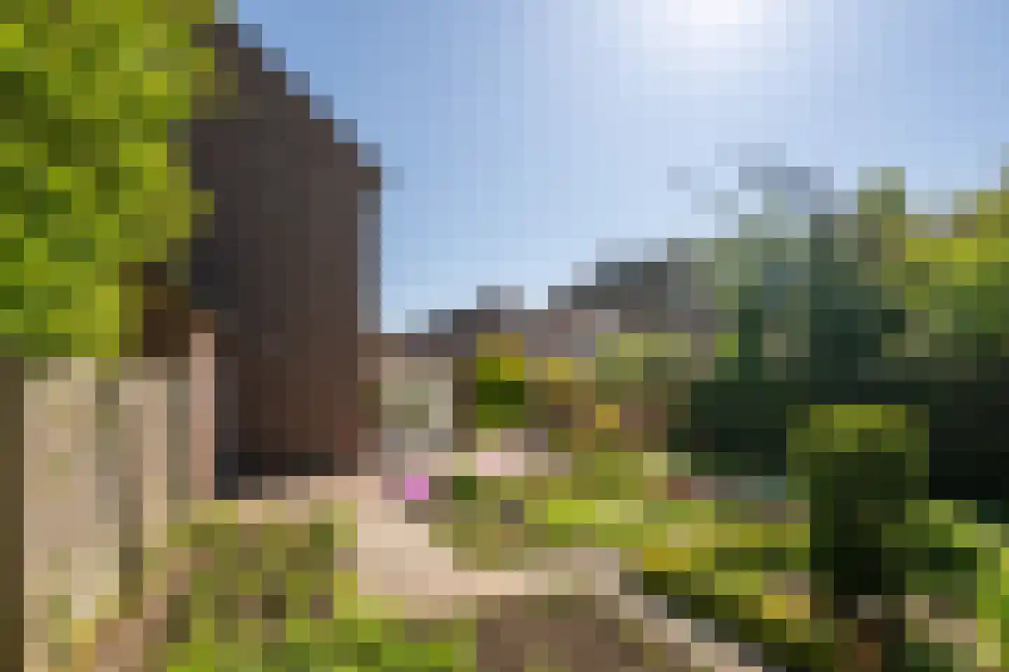 Warande 40 Schin op Geul thumbnail 22