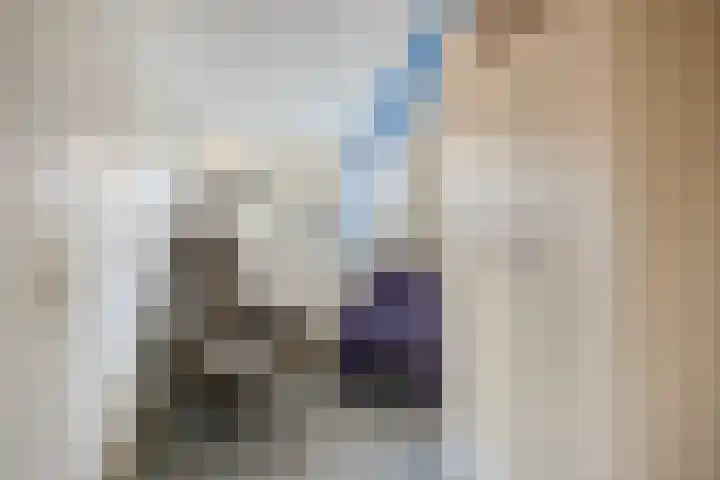 Warande 43 Borne thumbnail 32