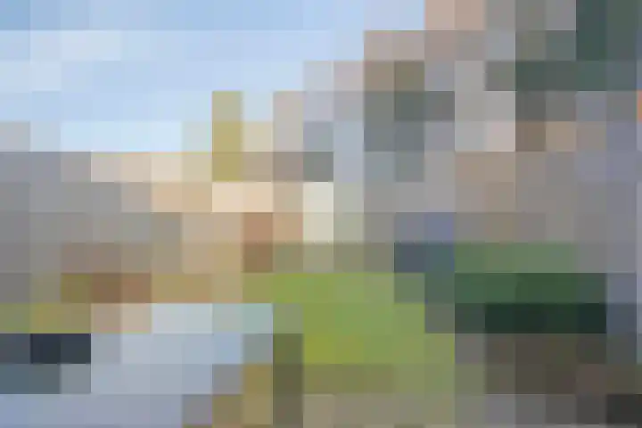 Warande 43 Borne thumbnail 38