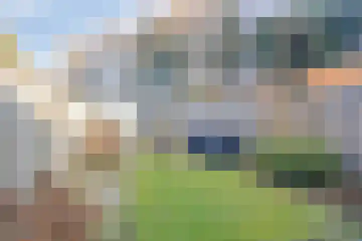Warande 43 Borne thumbnail 39