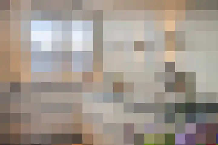 Warande 43 Borne thumbnail 4