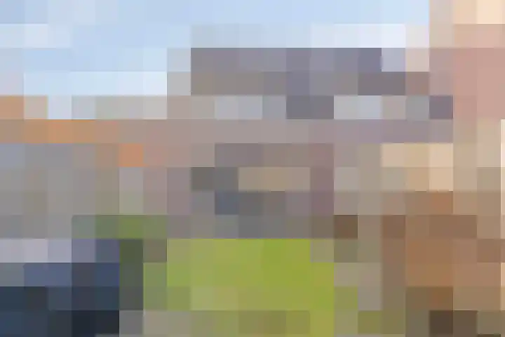 Warande 43 Borne thumbnail 40