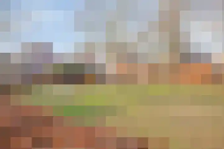 Warande 43 Borne thumbnail 44