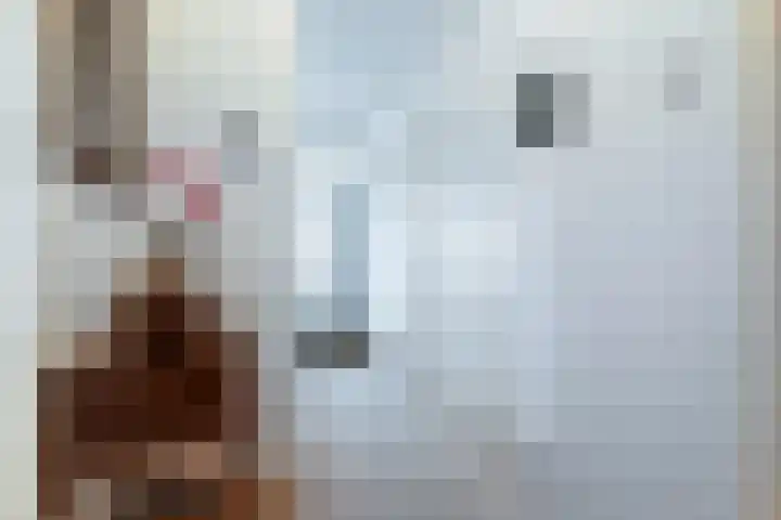 Warande 43 C Beverwijk thumbnail 20