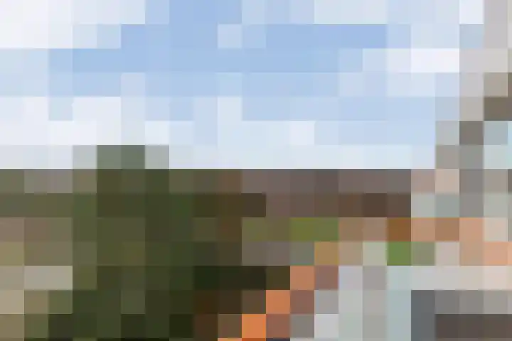 Warande 43 C Beverwijk thumbnail 35