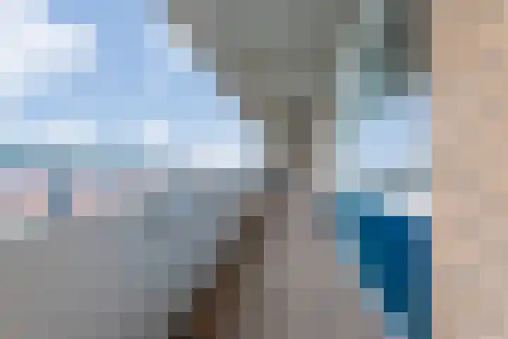 Warande 43 C Beverwijk thumbnail 41