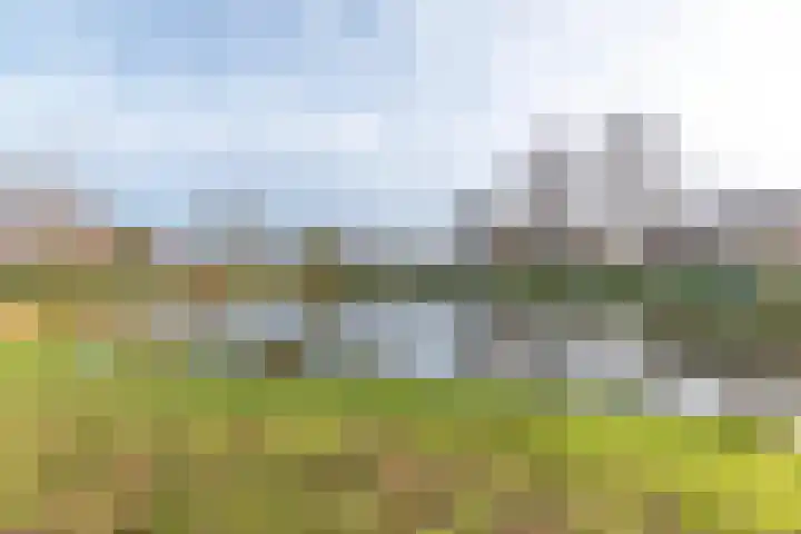 Warande 43 C Beverwijk thumbnail 46