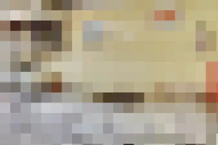 Warande 43 Wijk bij Duurstede thumbnail 11