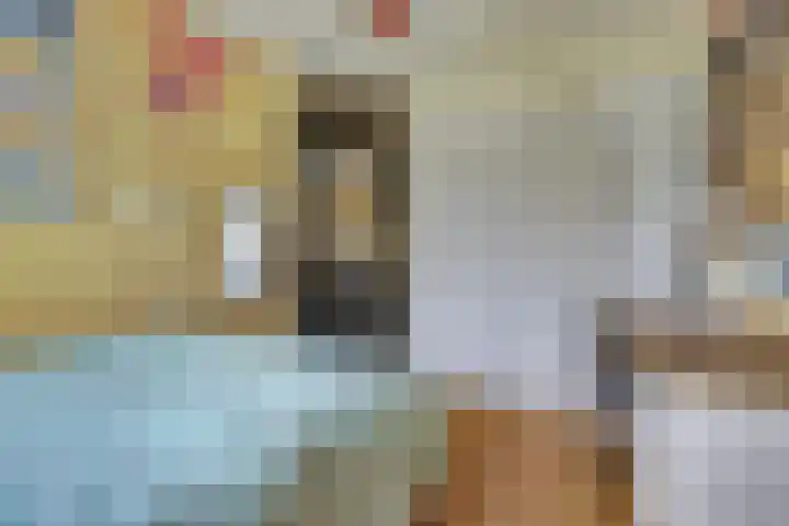 Warande 43 Wijk bij Duurstede thumbnail 17