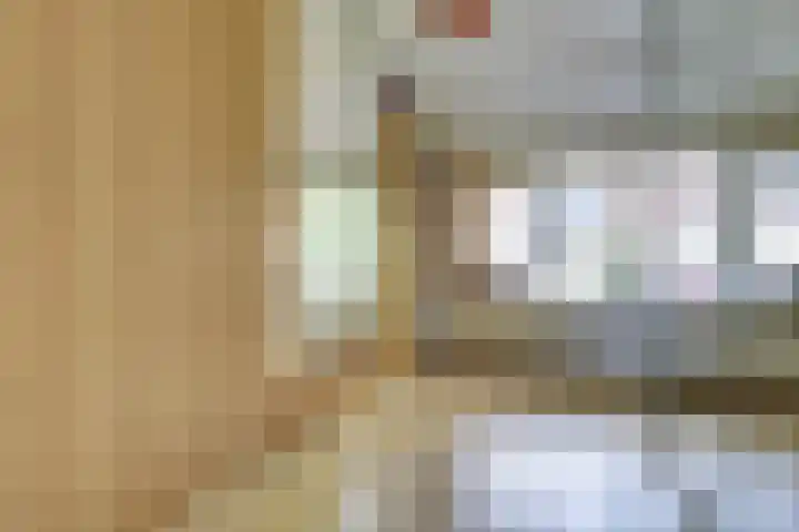 Warande 43 Wijk bij Duurstede thumbnail 20