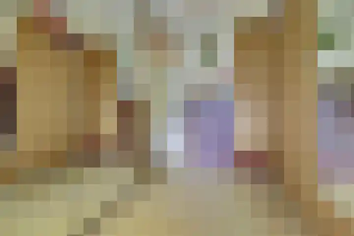 Warande 43 Wijk bij Duurstede thumbnail 21