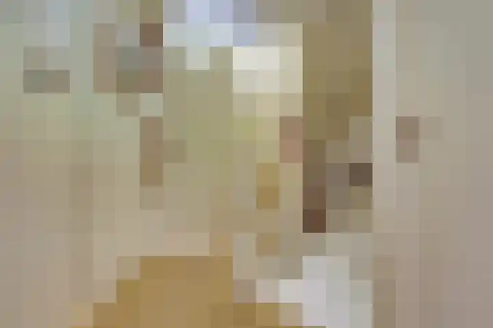 Warande 43 Wijk bij Duurstede thumbnail 25
