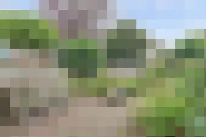 Warande 43 Wijk bij Duurstede thumbnail 31