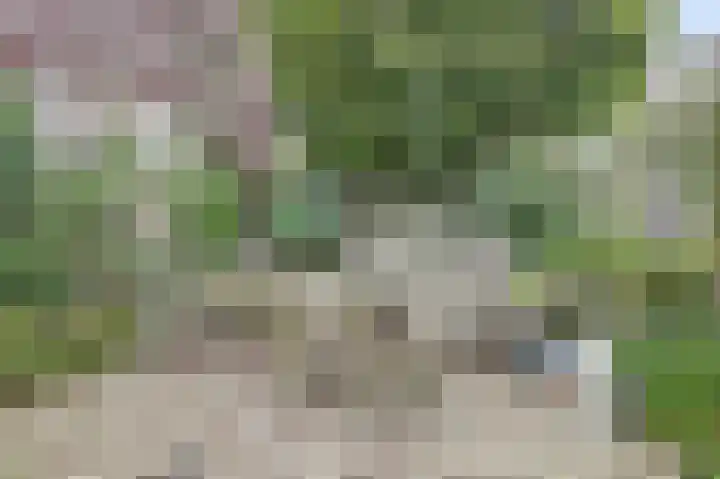Warande 43 Wijk bij Duurstede thumbnail 32