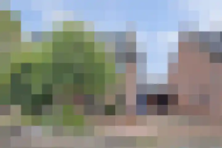 Warande 43 Wijk bij Duurstede thumbnail 33
