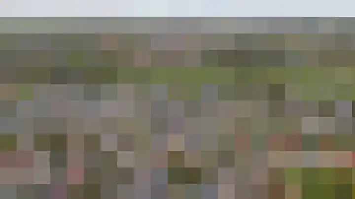 Warande 43 Wijk bij Duurstede thumbnail 37