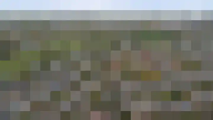 Warande 43 Wijk bij Duurstede thumbnail 38