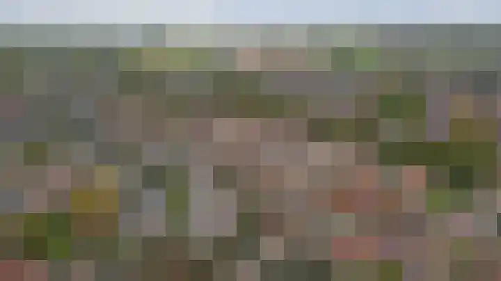Warande 43 Wijk bij Duurstede thumbnail 39