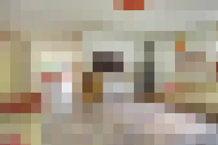 Warande 43 Wijk bij Duurstede thumbnail 7