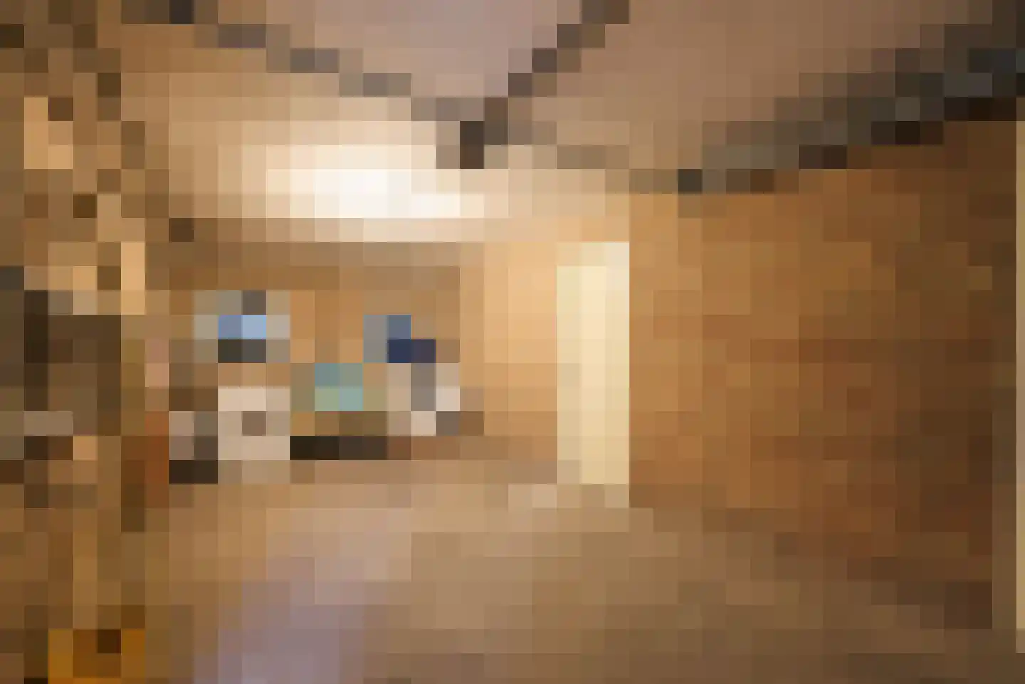 Warande 45 Beverwijk thumbnail 40