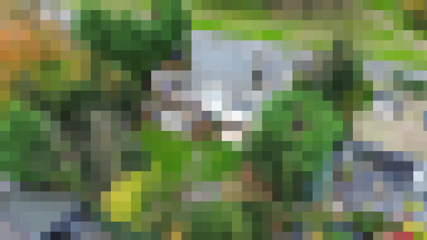 Warande 45 Beverwijk thumbnail 51