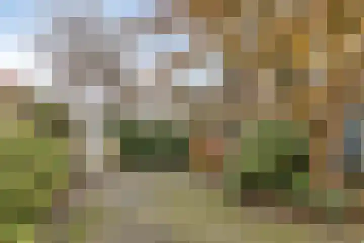 Warande 46 Eindhoven