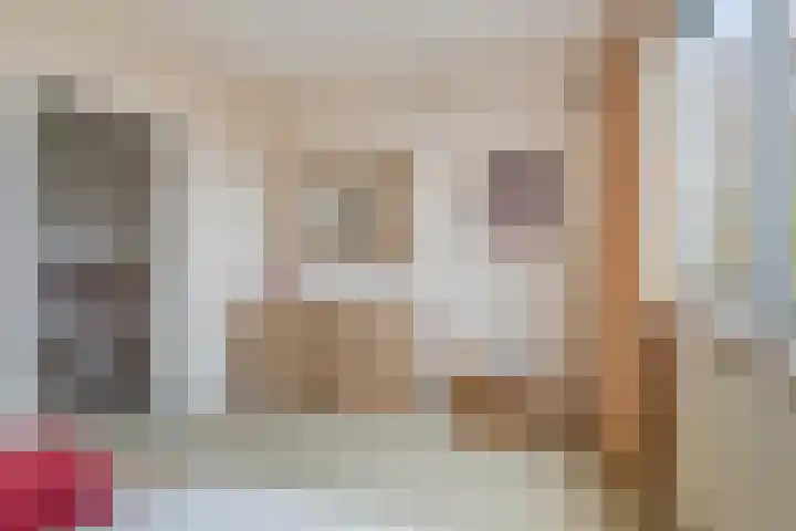 Warande 46 Eindhoven thumbnail 25