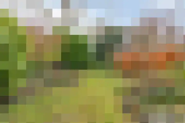 Warande 46 Eindhoven thumbnail 34