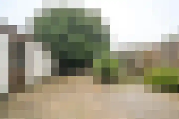 Warande 50 Beverwijk thumbnail 41
