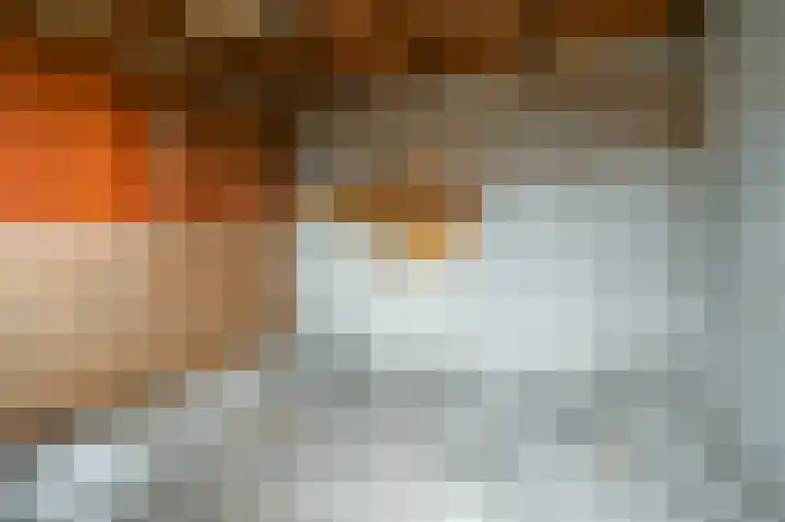 Warande 50 Beverwijk thumbnail 43