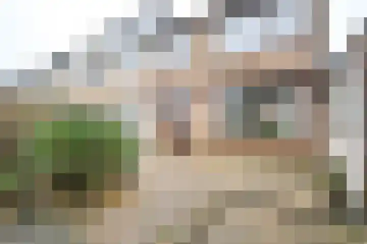 Warande 50 Beverwijk thumbnail 45