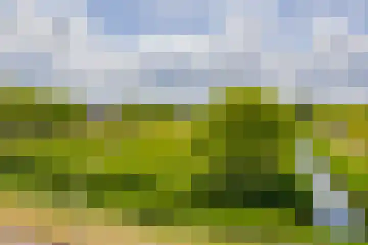 Warande 53 Alphen aan den Rijn thumbnail 17