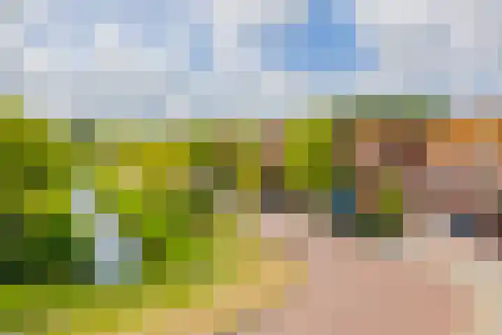 Warande 53 Alphen aan den Rijn thumbnail 27