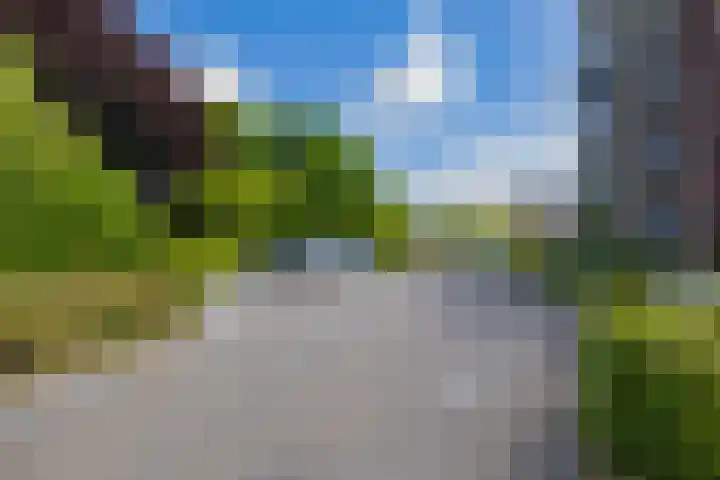 Warande 53 Alphen aan den Rijn thumbnail 28