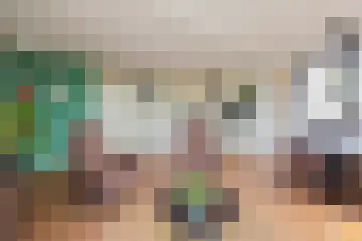 Warande 53 Alphen aan den Rijn thumbnail 4