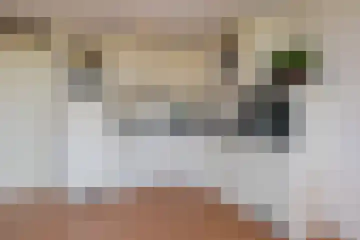 Warande 53 Alphen aan den Rijn thumbnail 6