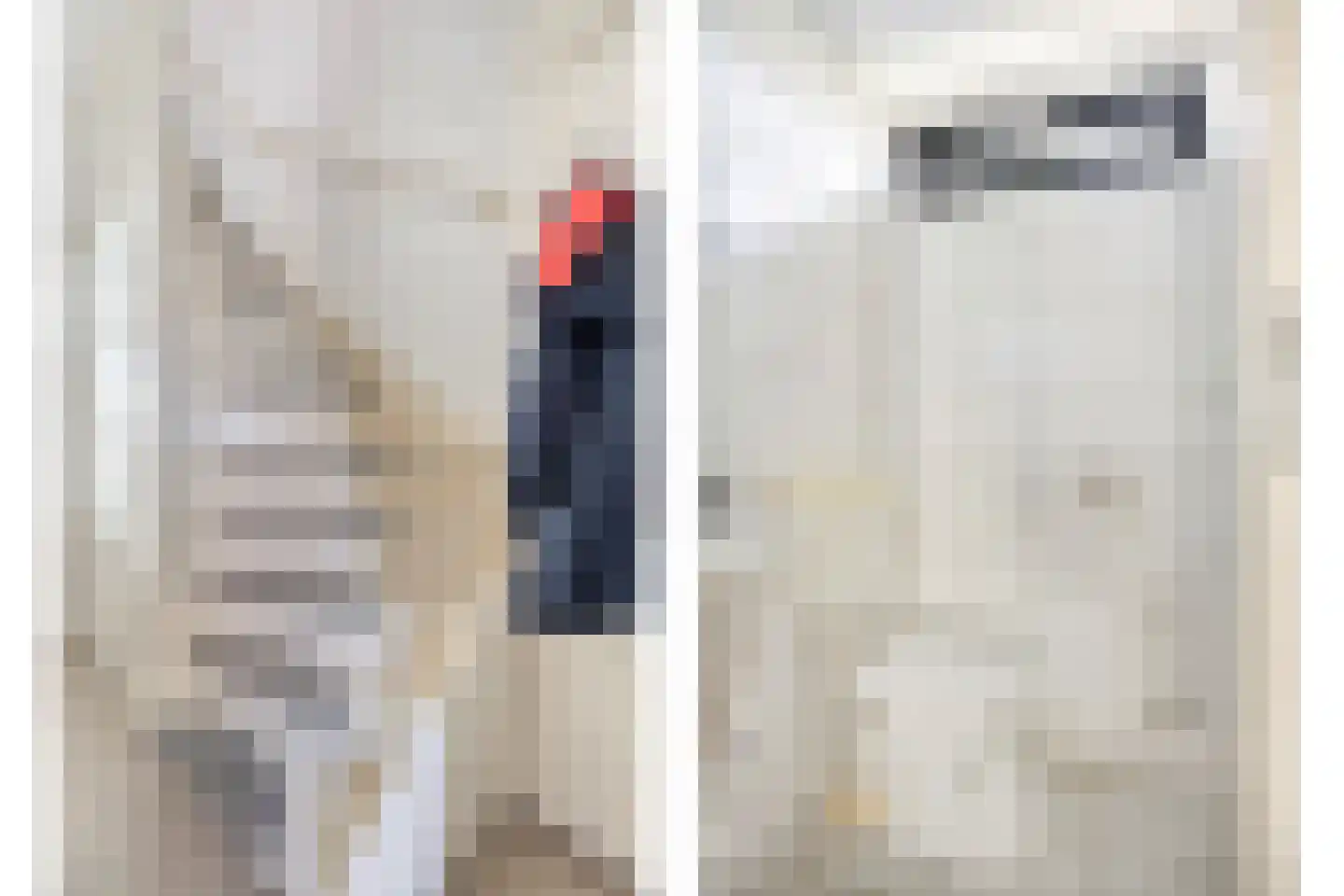 Warande 53 Marknesse thumbnail 13