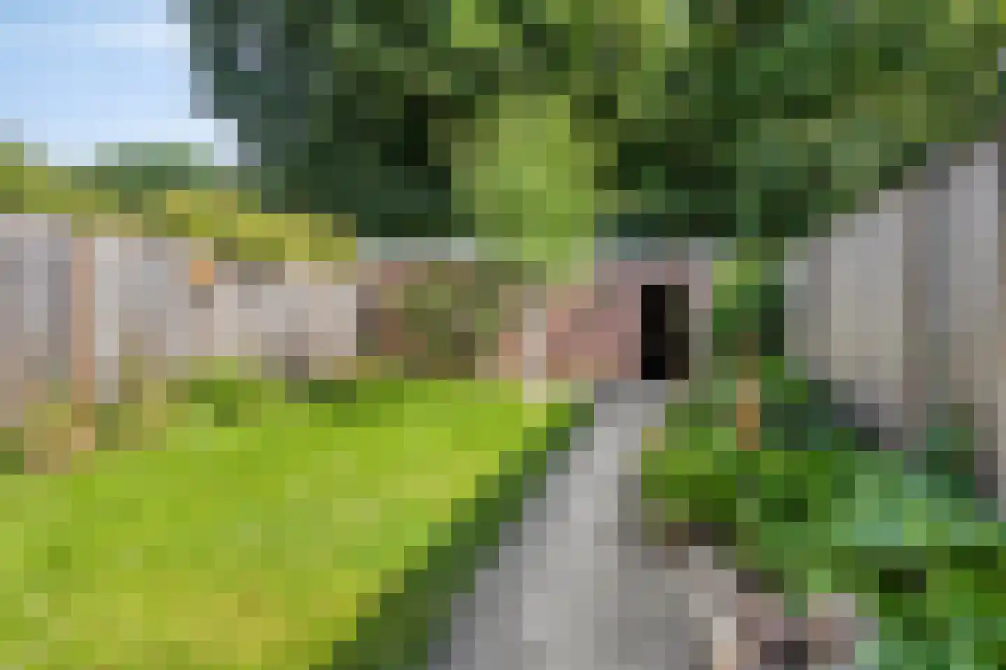 Warande 53 Marknesse thumbnail 26