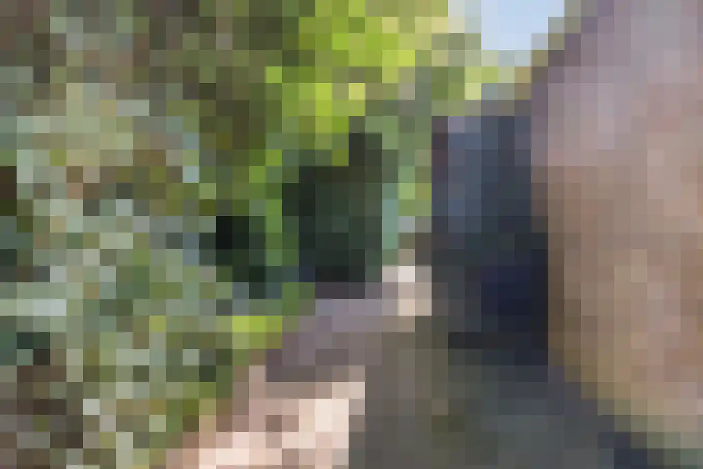Warande 53 Marknesse thumbnail 29