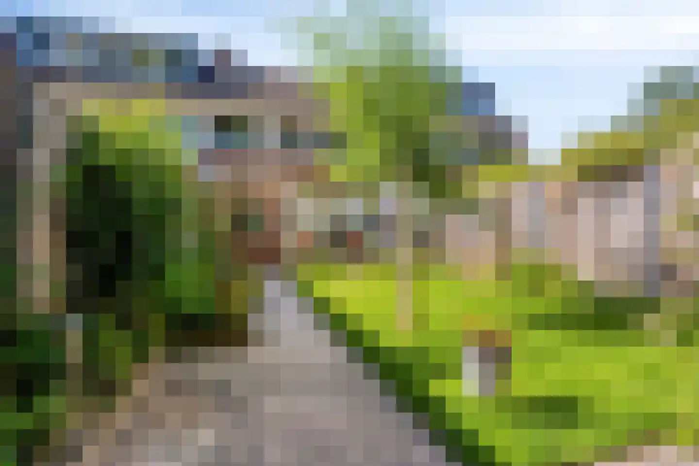 Warande 53 Marknesse thumbnail 4